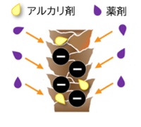 アルカリ材・薬剤・キューティクルの画像